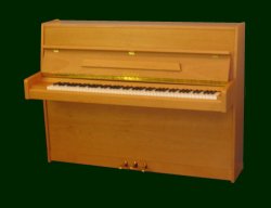 pianino Calisia Tonika M-110
